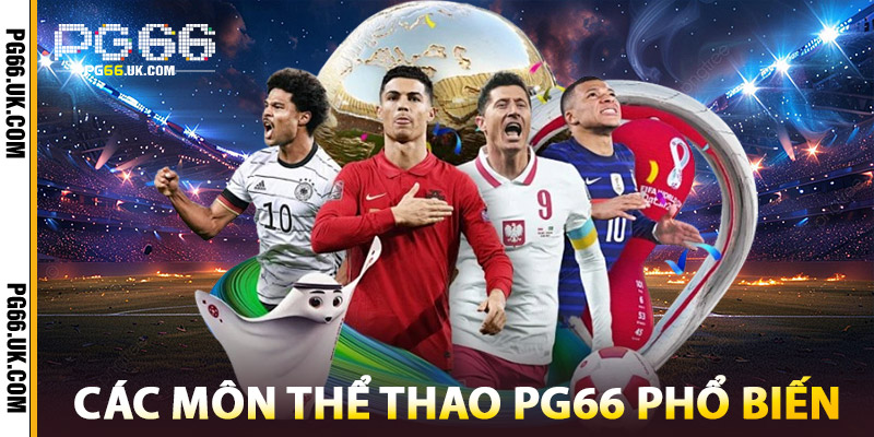 Các Môn Thể Thao PG66 Phổ Biến