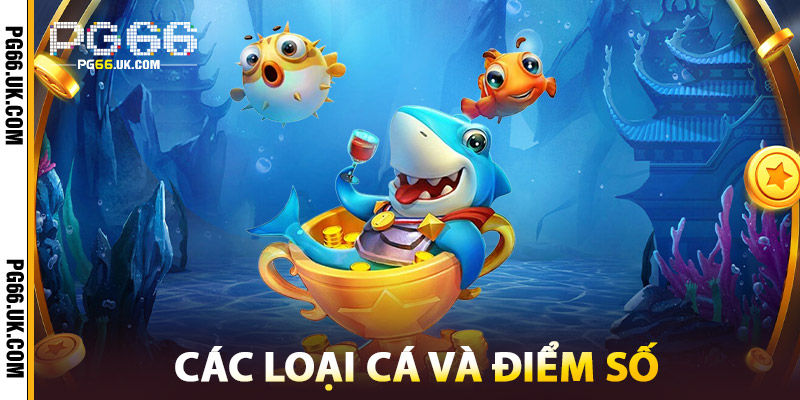 Các Loại Cá Và Điểm Số